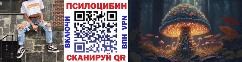 Галлюциногенные грибы Psilocybine cubensis  Вязники 