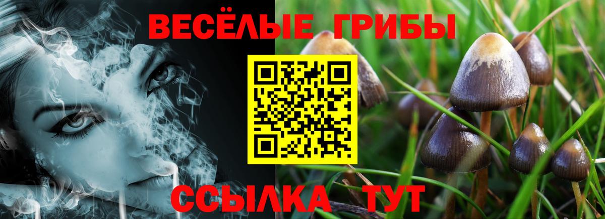 Галлюциногенные грибы ЛСД Вязники